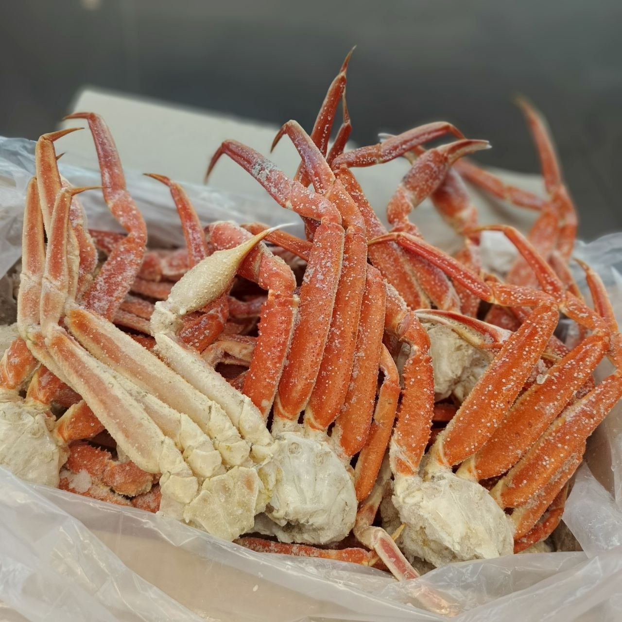 Клешни краба Стригуна *в/м